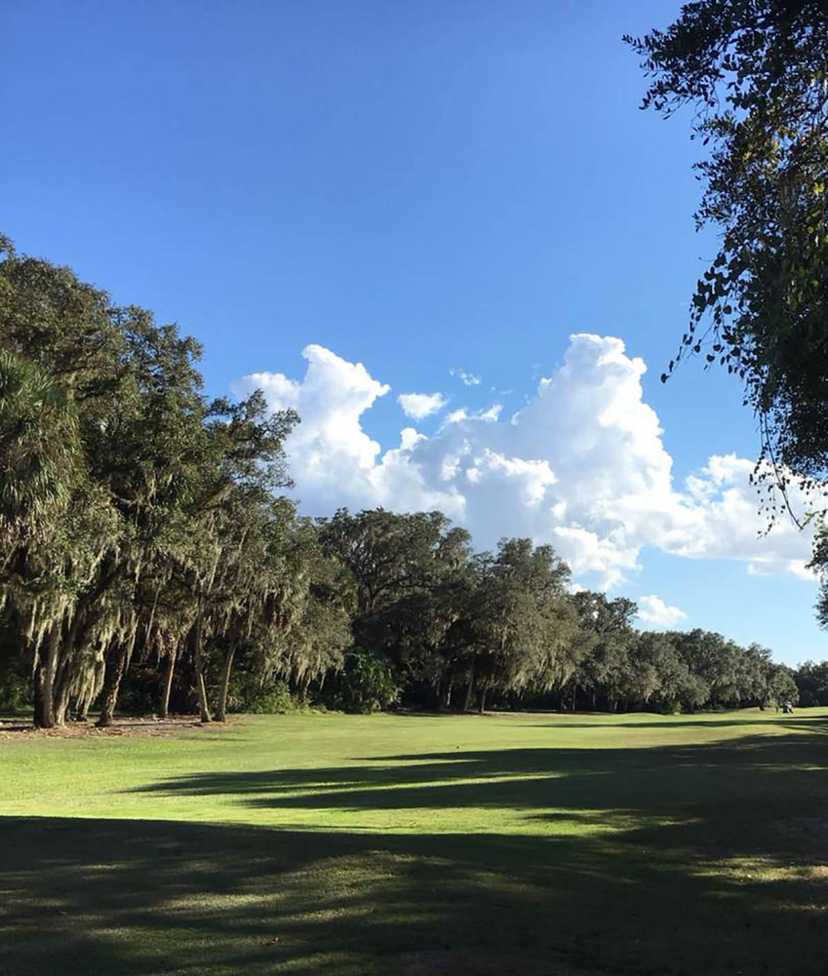 Gallery Misty Creek Country Club Sarasota, FL